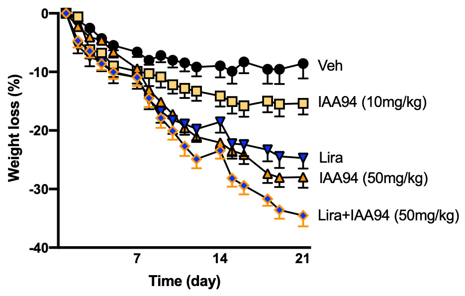 Blocking CLIC1 Translocation Leads to Significant Weight Loss